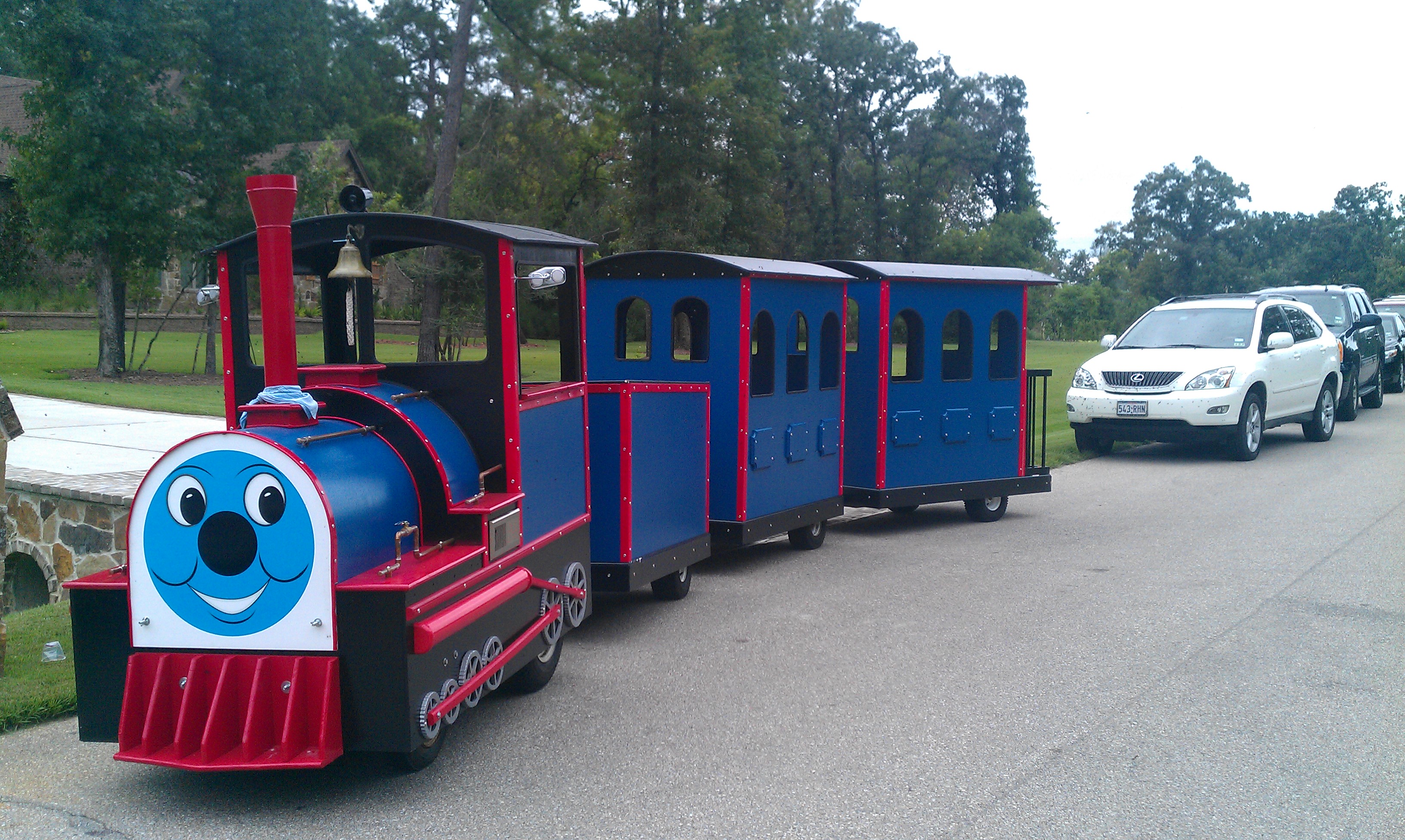 Bluege houston train